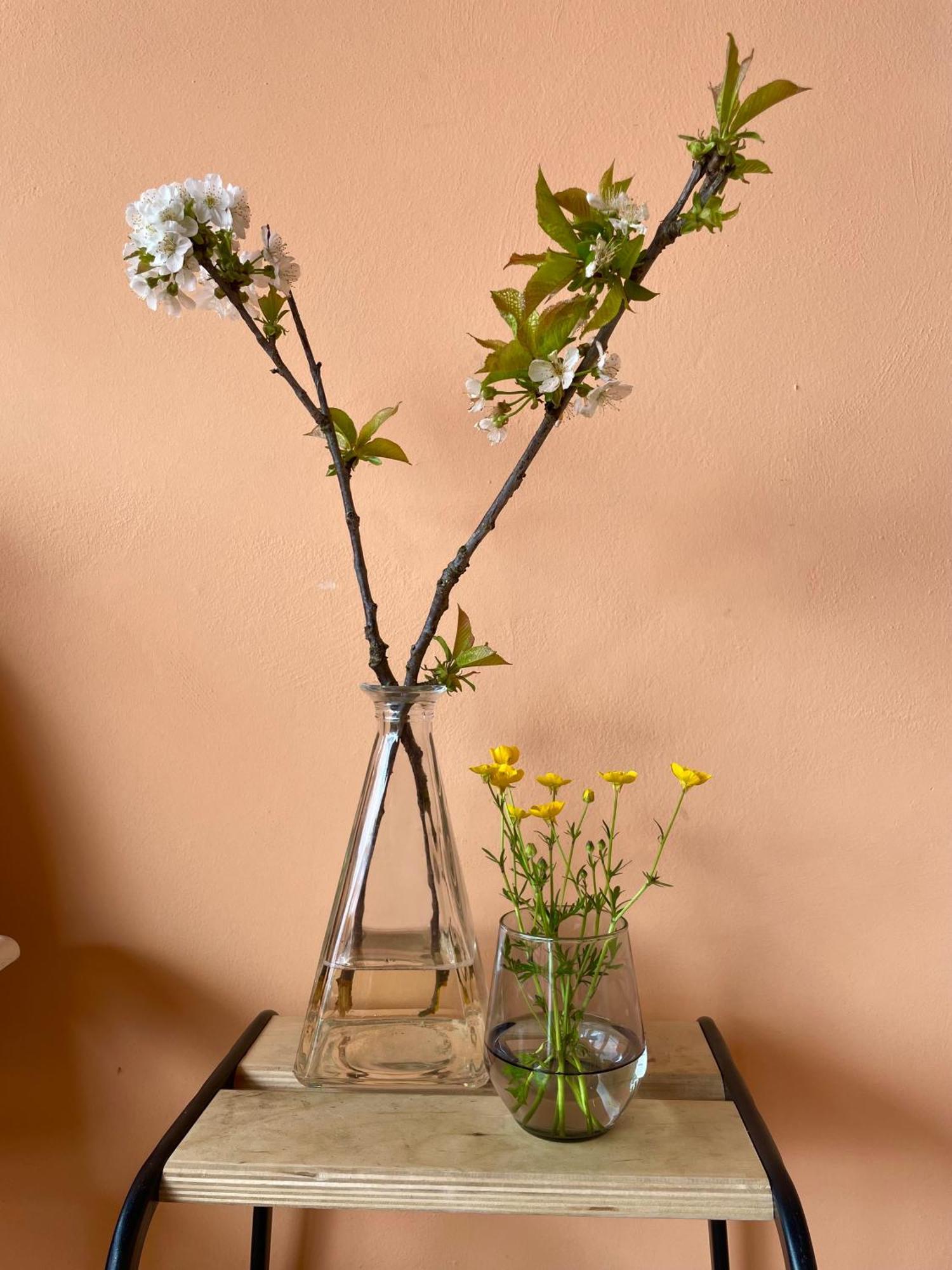 Studio Rosa Miagliano Esterno foto